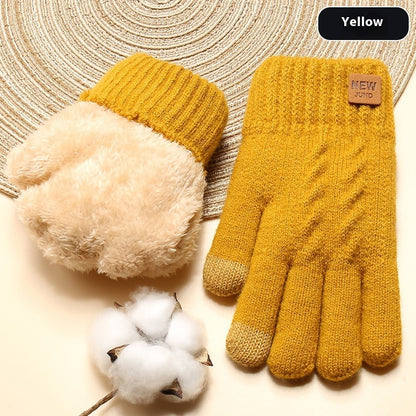 Phone Friendly Winter Women's Double Layer Fleece-lined Gloves Thickened Cold Protection